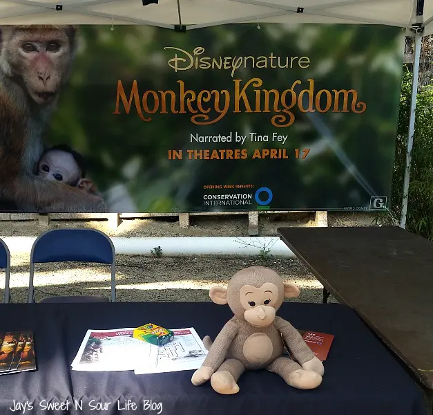 Disneynature's Monkey Kingdom features a true story about Maya and her son Kip, as they journey through life-changing choices. Read my full Disneynature's Monkey Kingdom Movie Review plus learn an interesting behind-the-scenes fact about the film you won't find anywhere else.