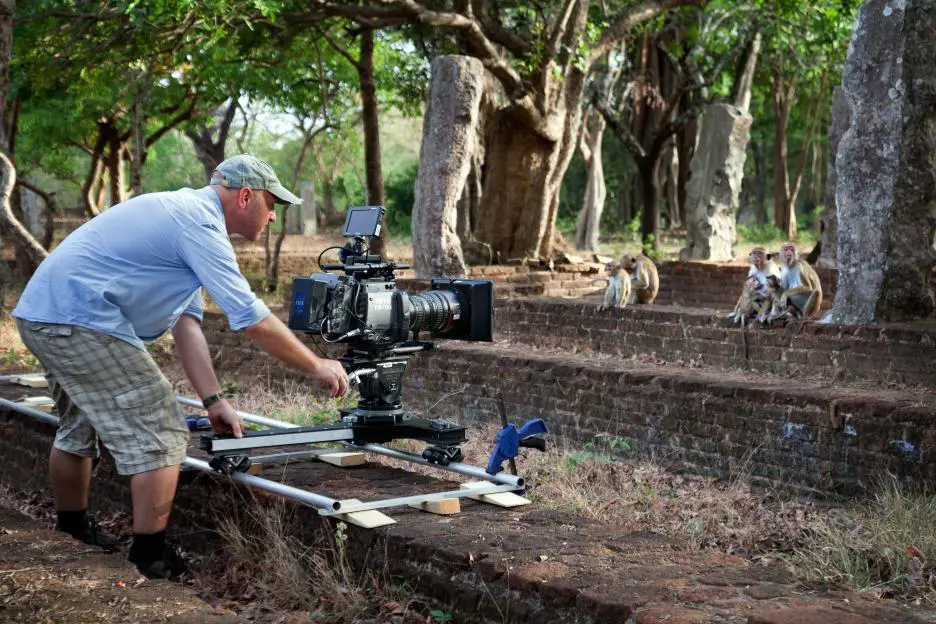 Disneynature's Monkey Kingdom features a true story about Maya and her son Kip, as they journey through life-changing choices. Read my full Disneynature's Monkey Kingdom Movie Review plus learn an interesting behind-the-scenes fact about the film you won't find anywhere else.