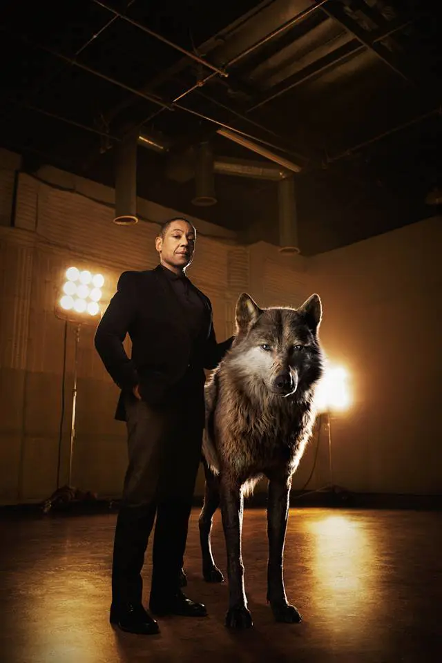 Read my exclusive interview with Giancarlo Esposito and Luptia Nyong'o, where we discussed their roles as Akela and Raksha in Disney's The Jungle Book. Now available on DVD, Blu-ray, and Digital today.
