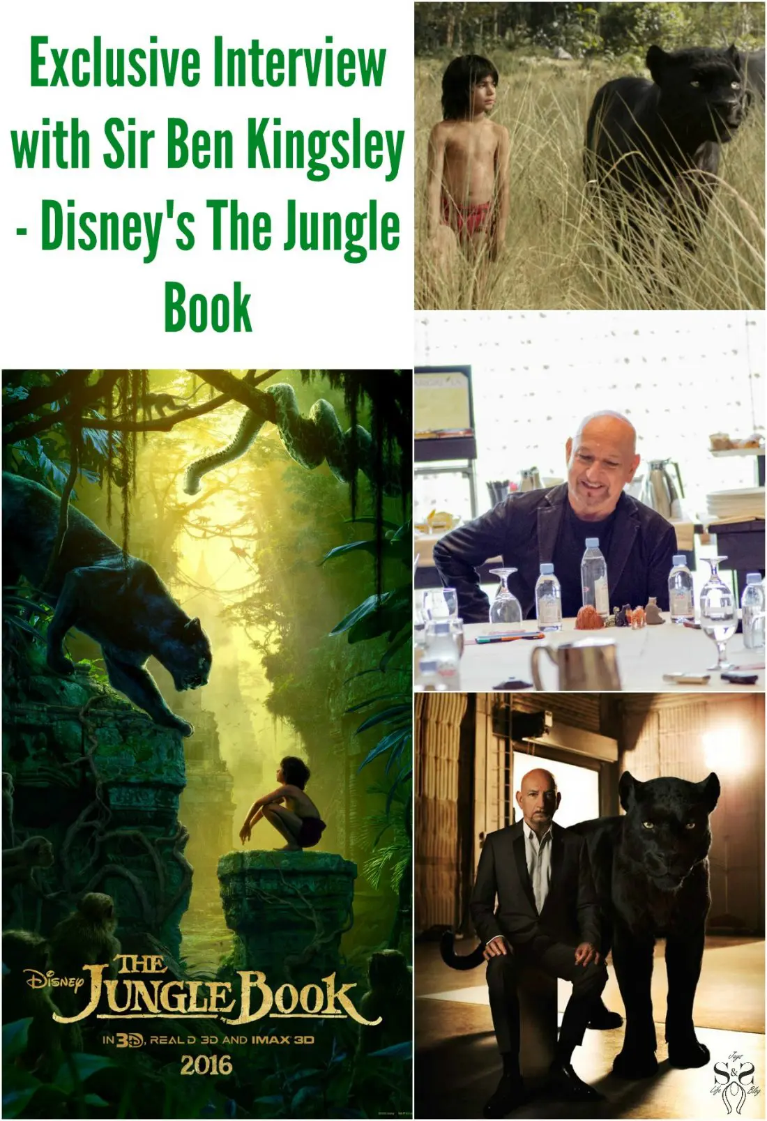Read my exclusive interview with Sir Ben Kingsley, where we talk about his role as Bagheera in Disney's The Jungle Book. Now available on DVD, Blu-ray and Digital today.