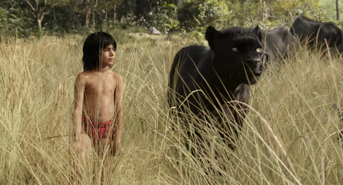 Read my exclusive interview with Sir Ben Kingsley, where we talk about his role as Bagheera in Disney's The Jungle Book. Now available on DVD, Blu-ray and Digital today.