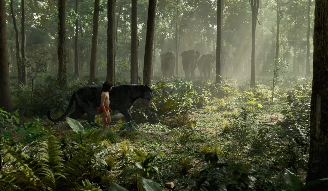 Read my exclusive interview with Sir Ben Kingsley, where we talk about his role as Bagheera in Disney's The Jungle Book. Now available on DVD, Blu-ray and Digital today.