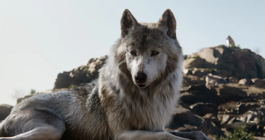 Read my exclusive interview with Giancarlo Esposito and Luptia Nyong'o, where we discussed their roles as Akela and Raksha in Disney's The Jungle Book. Now available on DVD, Blu-ray, and Digital today.