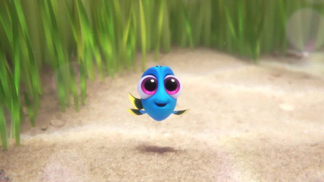 Grab an exclusive look at the new trailer that was released for Disney and Pixar's Finding Dory Film. In this new film Finding Dory, we are reunited with our favorite forgetful blue tang, Dory, along with her friends Nemo and Marlin on a search for answers about her past.