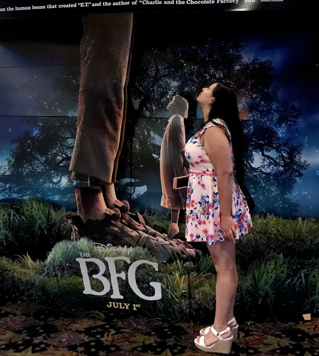 The BFG Theater 2
