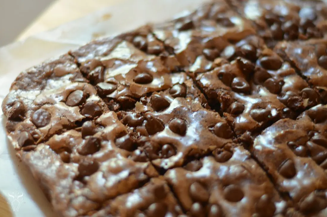 Treat your student to a delicious afterschool snack with these chocolate-dipped brownies. Use your favorite boxed brownie mix for an easy afterschool snack treat.