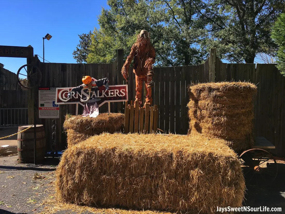 pumpkin-fest-10