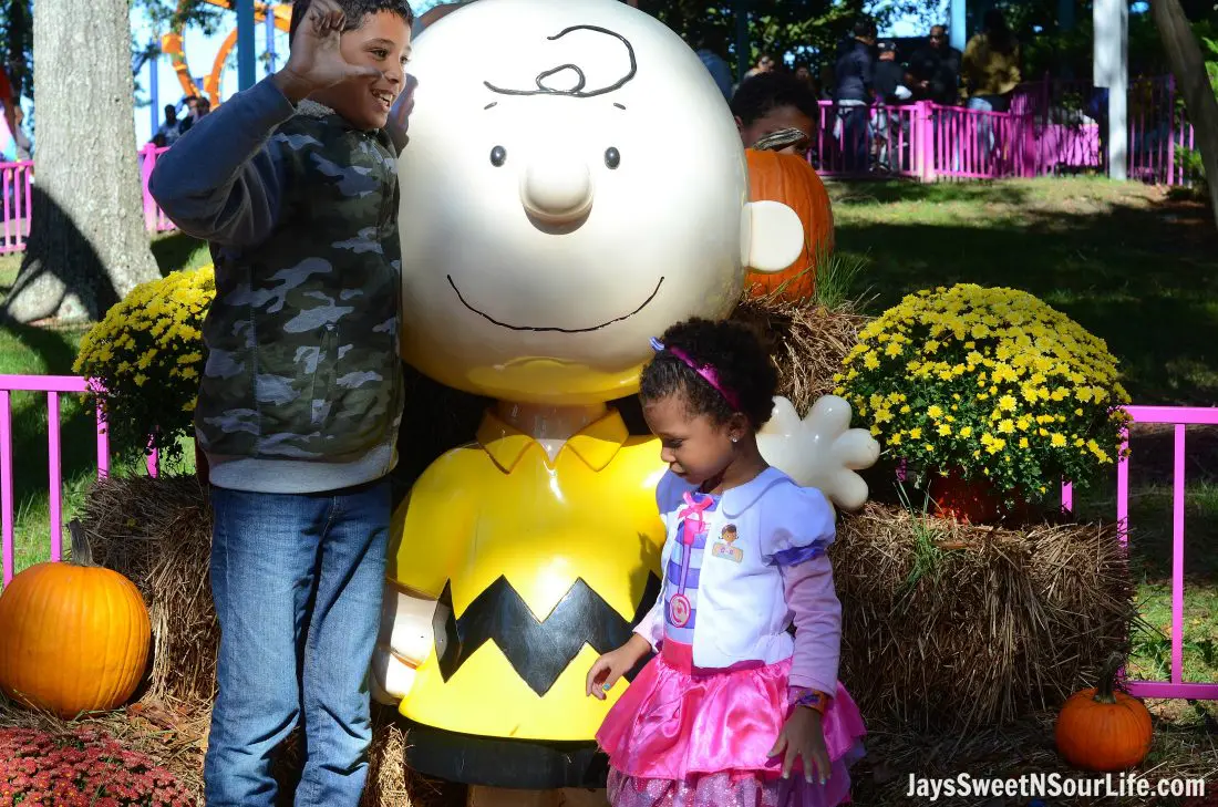 pumpkin-fest-11