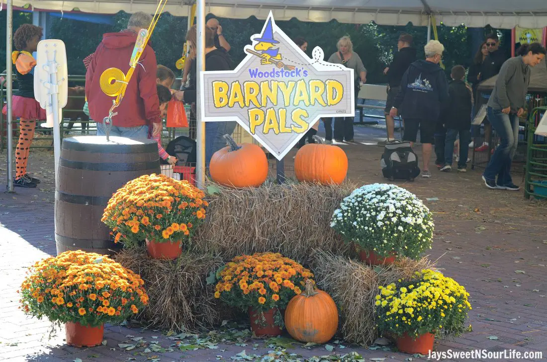 pumpkin-fest-12