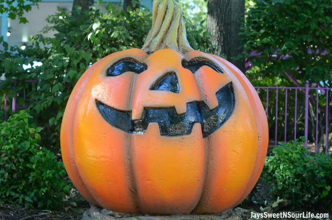 pumpkin-fest-13