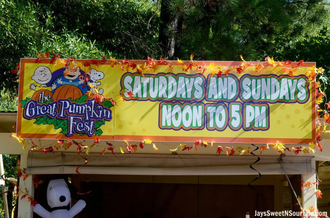 pumpkin-fest-4