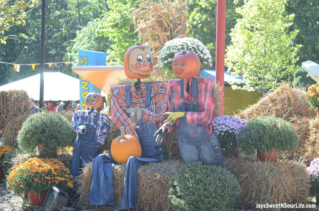 pumpkin-fest-6