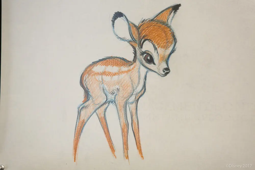 Original sketch of Bambi shown during Interview With The Voices of Disney's Bambi and Thumper.