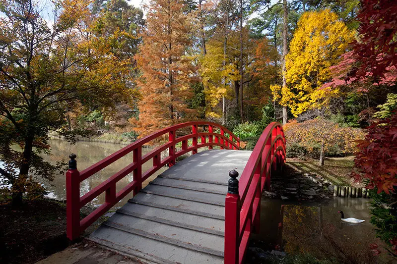 I'm sharing my ultimate list of 10 Fun Family-Friendly Things To Do In Durham, North Carolina. Travel on a budget with this list of free and affordable fun things to do in Durham, North Carolina.
