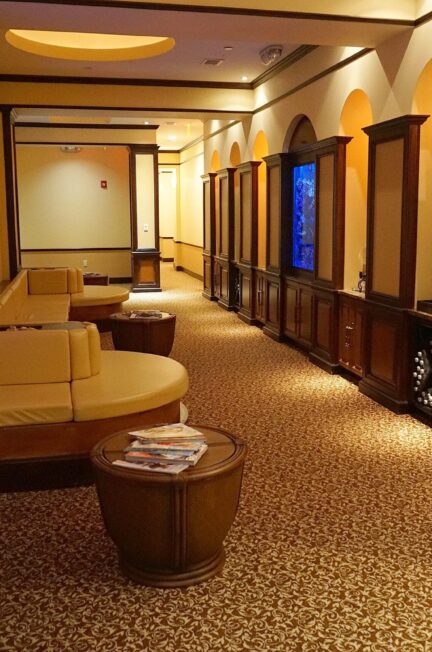 Lake Buena Vista Resort Village and Spa Review | Orlando, FL