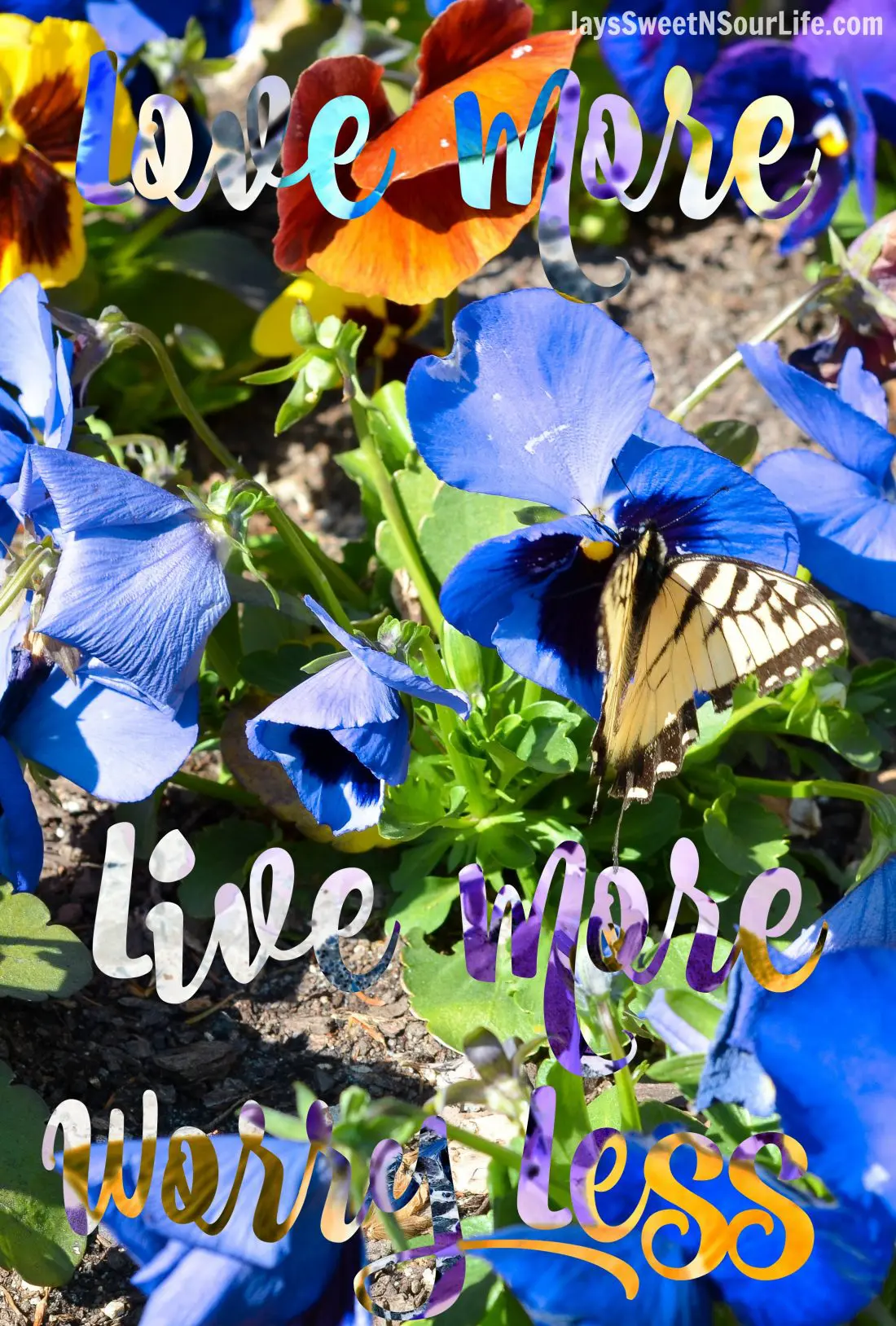 In life we must learn to love more, live more and worry less. Keep this qoute in mind to help you relax and ward off oncoming stress.