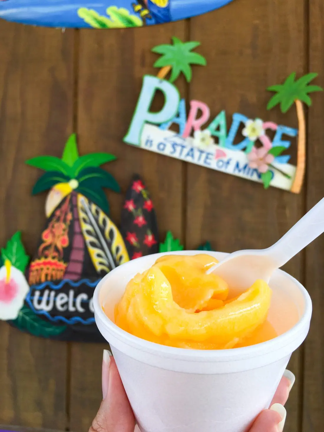 Papa Robbs Paradise - Visit Cabarrus County Mango Ice. A Large Families Adventure Guide To Cabarrus County - North Carolina - via JaysSweetNSourLife.com.