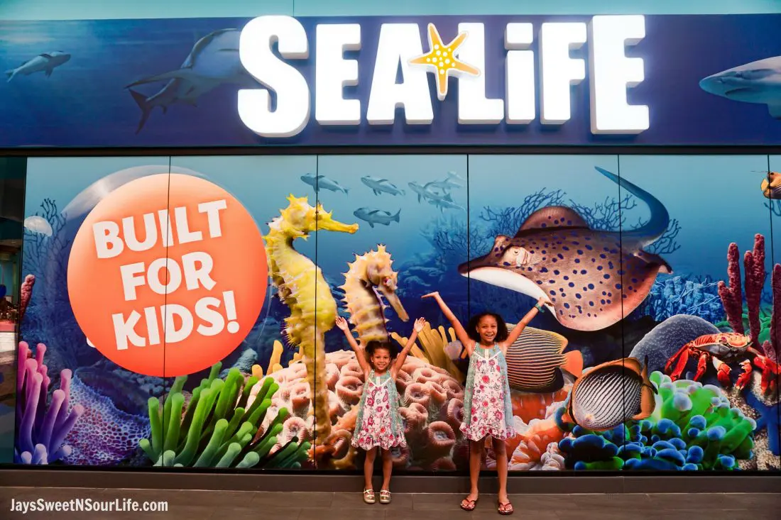 Sea Life - Visit Cabarrus County - Entrance Girls.A Large Families Adventure Guide To Cabarrus County - North Carolina - via JaysSweetNSourLife.com.