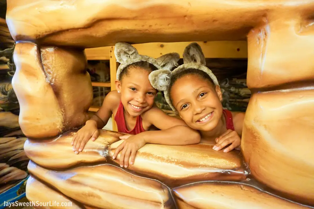 The Great Wolf Lodge - Cabarrus County Girls In Wolfs Den. A Large Families Adventure Guide To Cabarrus County - North Carolina - via JaysSweetNSourLife.com.