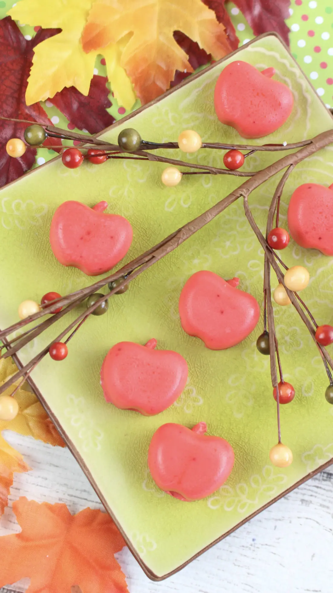 Learn How To Make Apple Soap for a cute gift for the holidays. Create your very own Apple Soap's to give away as gifts for the holidays or decorate your home.