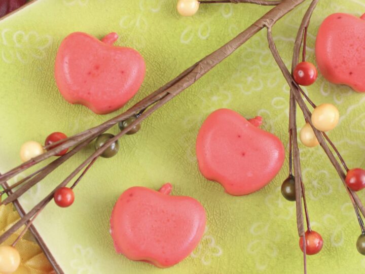 Learn How To Make Apple Soap for a cute gift for the holidays. Create your very own Apple Soap's to give away as gifts for the holidays or decorate your home.