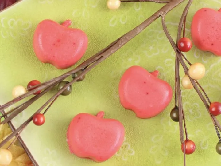 Learn How To Make Apple Soap for a cute gift for the holidays. Create your very own Apple Soap's to give away as gifts for the holidays or decorate your home.