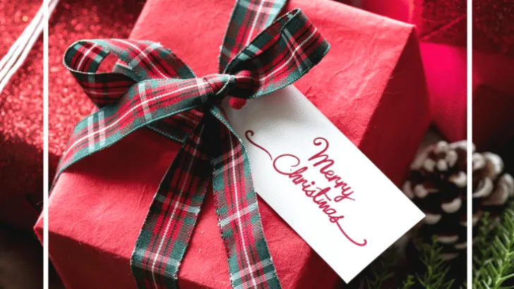 The elves worked really hard to put this 2018 Holiday Gift Guide together, and we excited to share all the wonderful discoveries we have recently made at the North Pole!&nbsp;