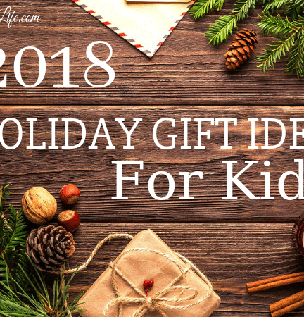 2018 Holiday Gift Guide