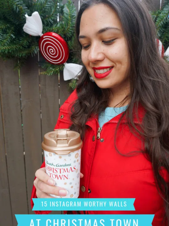 15 Instagram Worthy Walls at Busch Gardens Christmastown. Read all about the locations and idea's for 2018 Christmas Town on the blog today.