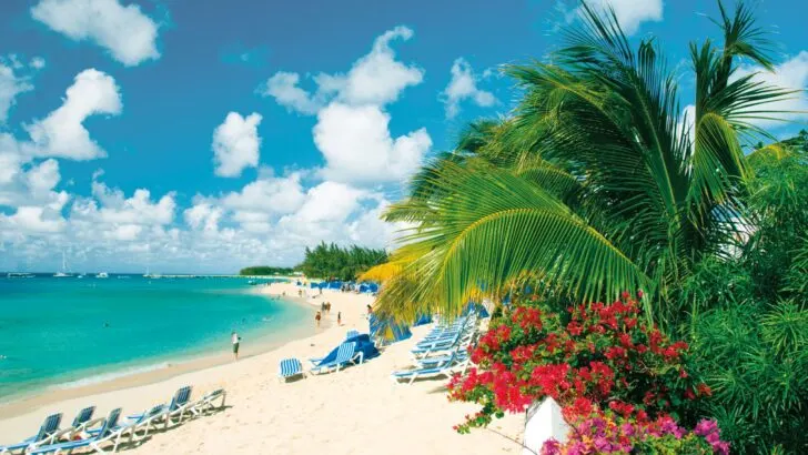 A tropical beach Grand Turk Turks and Caicos. Carnival Cruise Line has officially announced the sale of their 2020 Inaugural Itineraries. Offering 6-15 Day cruises sailing throughout Europe and the Caribbean