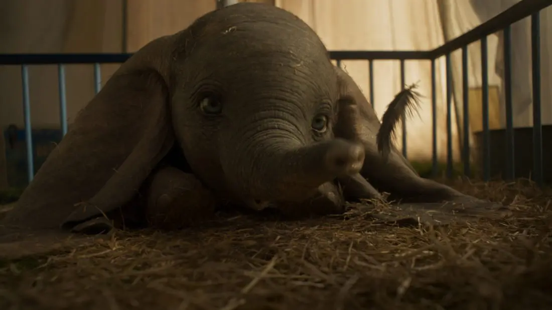 DUMBO Closeup. Disney's live-action adventure Dumbo film explores where differences are celebrated, family is cherished and dreams take flight. In theaters March 29, 2019.