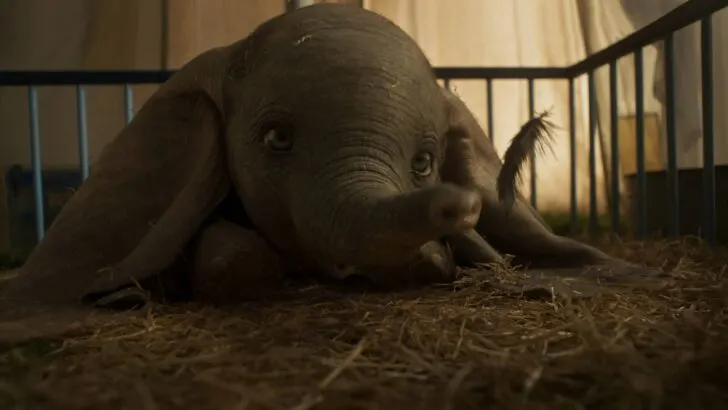 DUMBO Closeup. Disney's live-action adventure Dumbo film explores where differences are celebrated, family is cherished and dreams take flight. In theaters March 29, 2019.