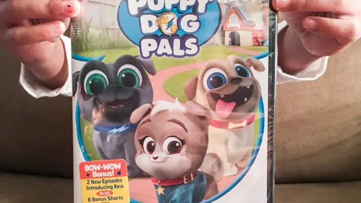 DIsney Junior Playtime With Puppy Dog Plays DVD Girl Holding. Adorable puppy brothers Bingo and Rolly are back! Join the doggy duo on amazing missions in their newest Playtime with Puppy Dog Pals DVD.