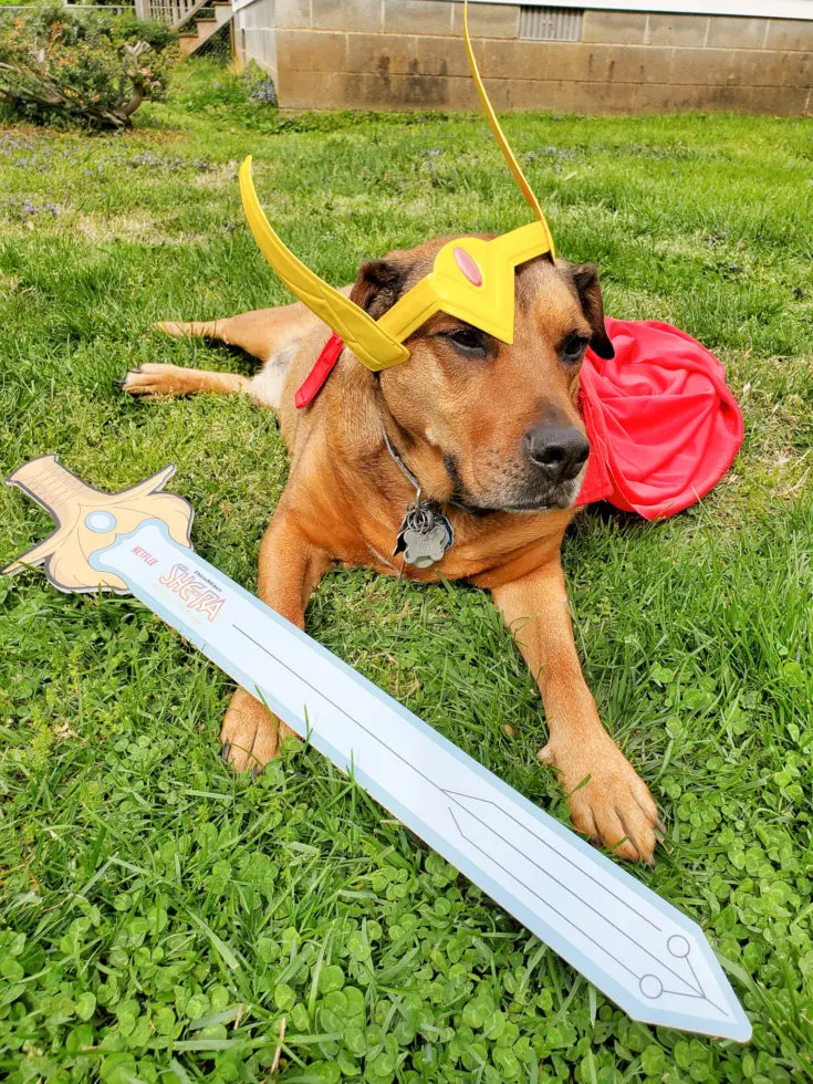 Beau in She Ra Costume. Mark your calendars because on April 26th DreamWorks She-Ra and the Princesses of Power is roaring back to Netflix for the Honor of Grayskull. The series creator promises there will be cool new characters and story lines that didn't make it into the first season of She-Ra.