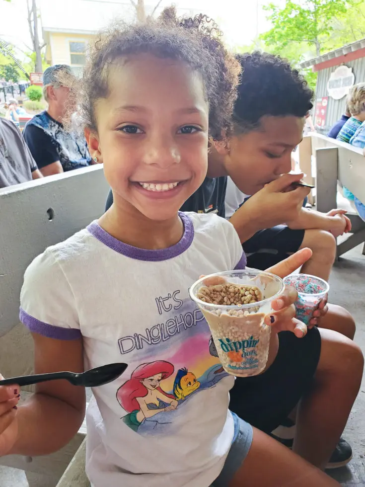 Dippin Dots Dollywood. My family spent the day playing and eating at the Dollywood theme park, and we are happy to report we had a blast! Read all about our trip and learn why Dollwood is a must visit destination while you are in Pigeon Forge, TN.