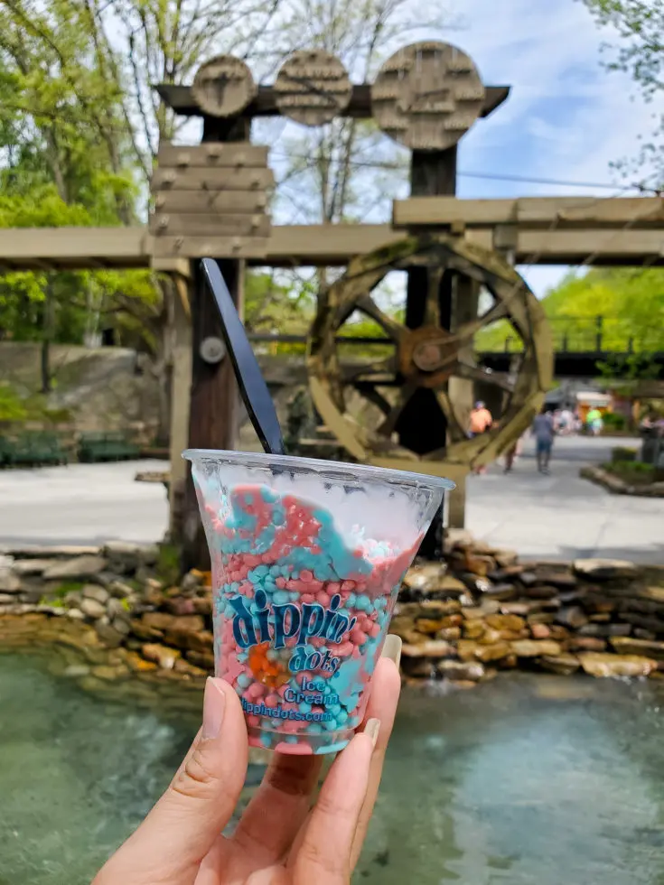 Dollywood Dippin Dots. My family spent the day playing and eating at the Dollywood theme park, and we are happy to report we had a blast! Read all about our trip and learn why Dollwood is a must visit destination while you are in Pigeon Forge, TN.