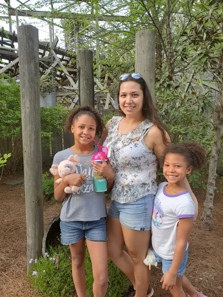 Dollywood Jay Family. My family spent the day playing and eating at the Dollywood theme park, and we are happy to report we had a blast! Read all about our trip and learn why Dollwood is a must visit destination while you are in Pigeon Forge, TN.