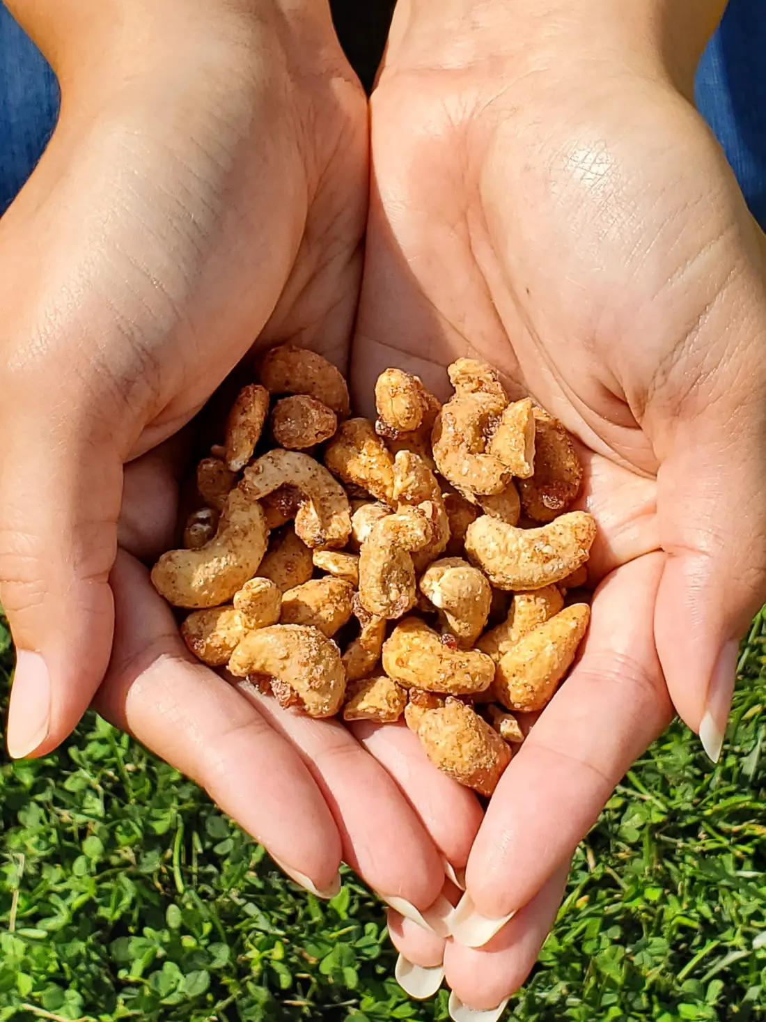 Sahale Snacks Pomegrante Vanilla Flavored Cashews Closeup. Snack easy with Sahale snacks, they are the delicious option that fit seemlessly into your everyday lives. Sahale Snacks use unique combinations and layers of flavor with real ingredients to elevate your everyday snacking experience.