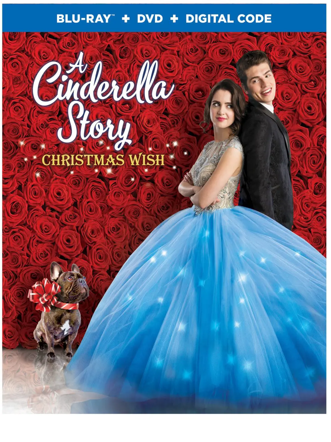 A Cinderella Story - Christmas Wish Box Art. A Cinderella Story: Christmas Wish is available on Digital beginning October 15, and on Blu-ray&trade; Combo Pack and DVD on October 29