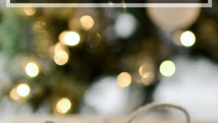 2019 Holiday Gift Guide. Take the guessing out of this holiday seasons gifts by viewing my top holiday gift picks. View my ultimate list of must-have gifts for Mom, Dad, Kids, Teens and Pets in my ultimate 2019 Holiday Gift Guide.