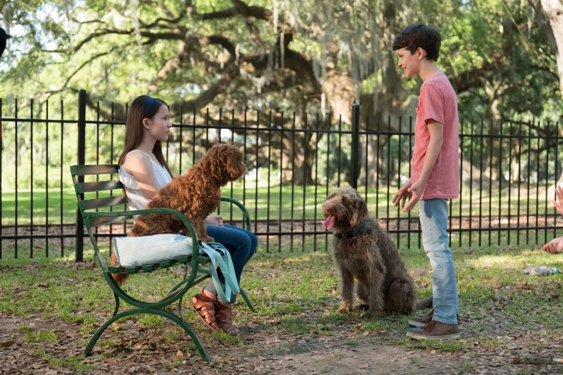Think Like a Dog Kids. It's time to give canines some love! Don&rsquo;t miss the paws-itively heartwarming family comedy&nbsp;Think Like a Dog, premiering on Digital, and On Demand June 9 from Lionsgate.