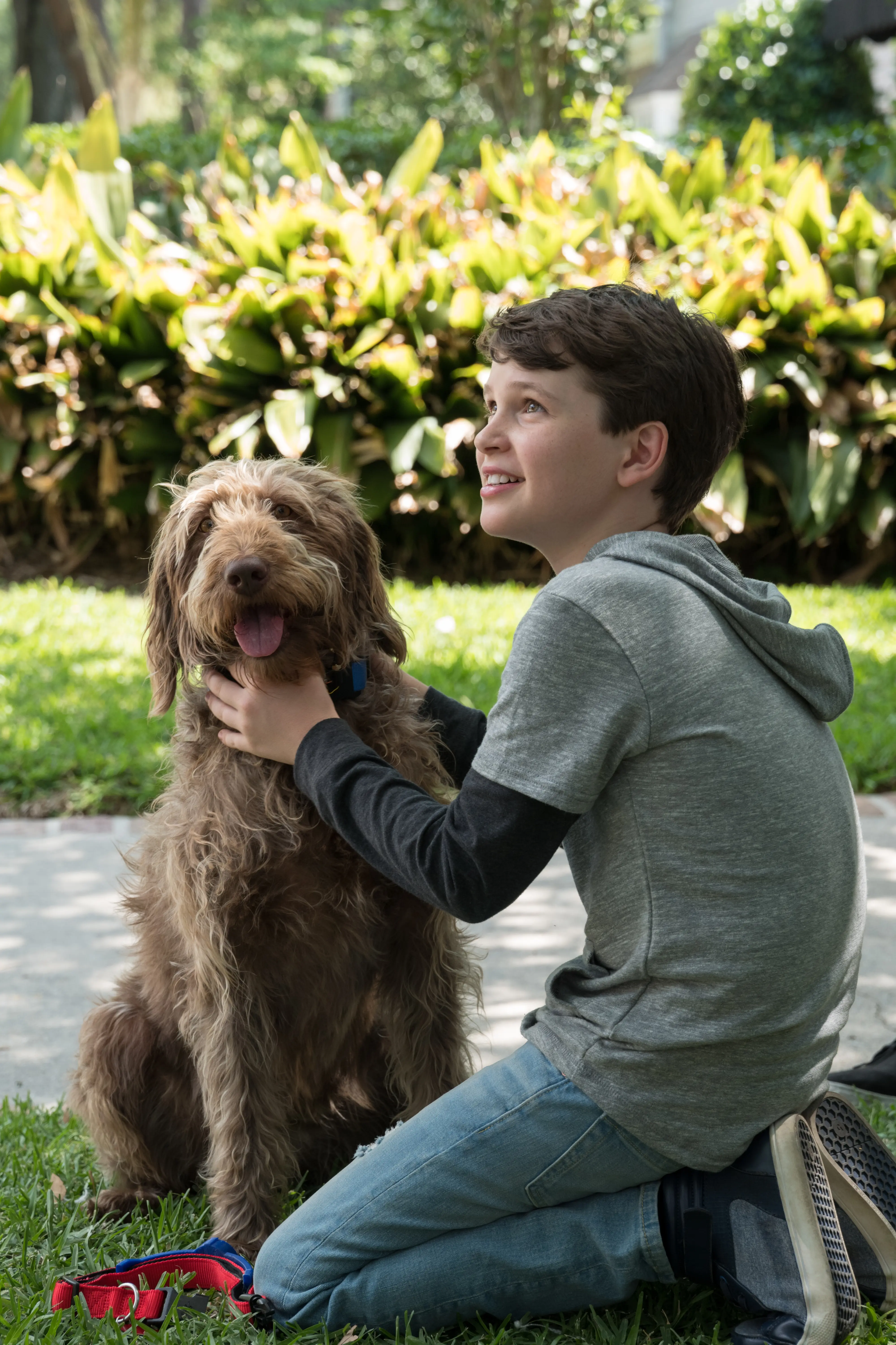 Thinks Like a Dog Friends. It's time to give canines some love! Don&rsquo;t miss the paws-itively heartwarming family comedy&nbsp;Think Like a Dog, premiering on Digital, and On Demand June 9 from Lionsgate.