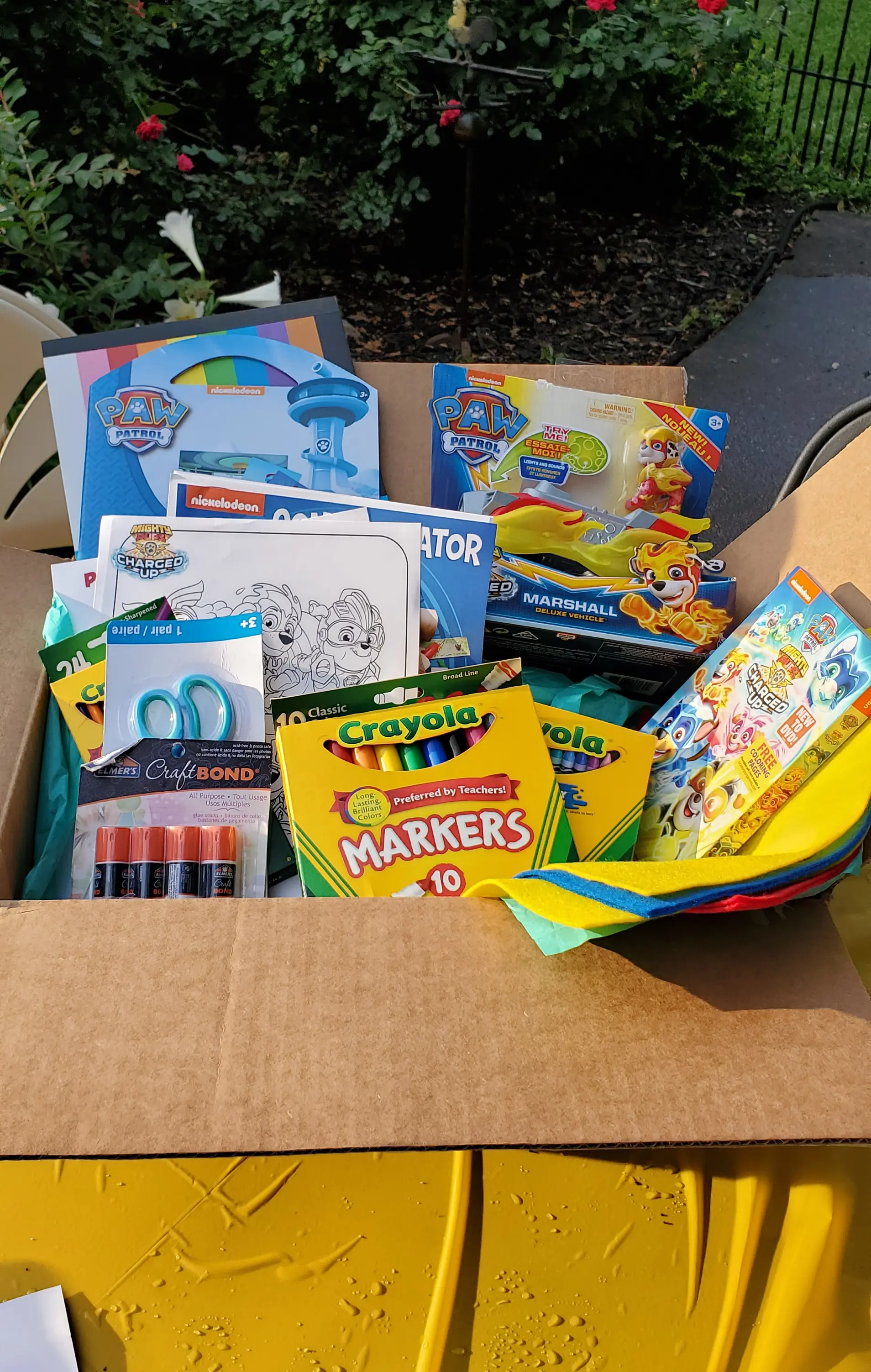 PAW Patrol: Mighty Pups Charged Up Actvity Box. The paw-some Mighty Pups are back for next level action-packed adventures in&nbsp;PAW Patrol: Mighty Pups Charged Up. Checkout all of the fun toys and actvities we recieved in our Puptastic box today!
