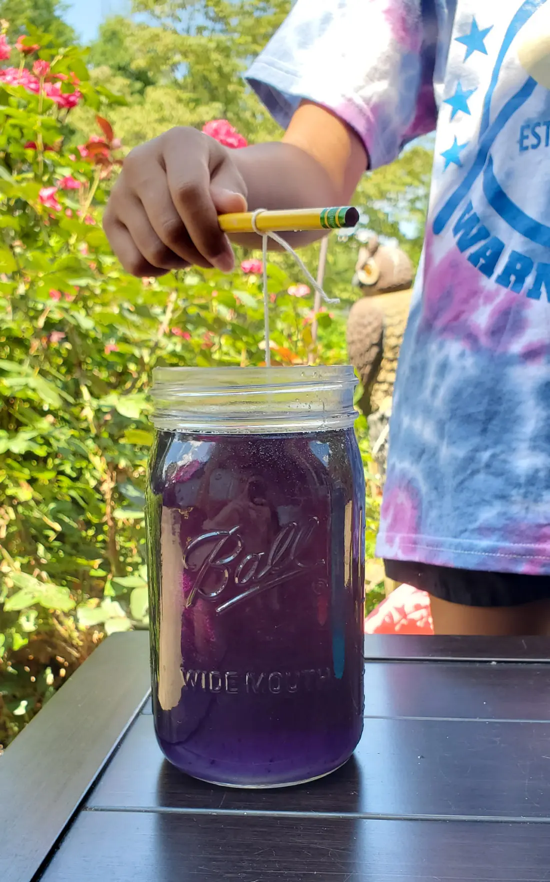 Crystal Gem Candy Adding Sugar String. Grow your very own Crystal Gem Candy at home! Inspired by Stephen Universe Crystal Gem's a sugary treat that doubles as a science experiment, you can create and watch your very own candy gems grow day by day.