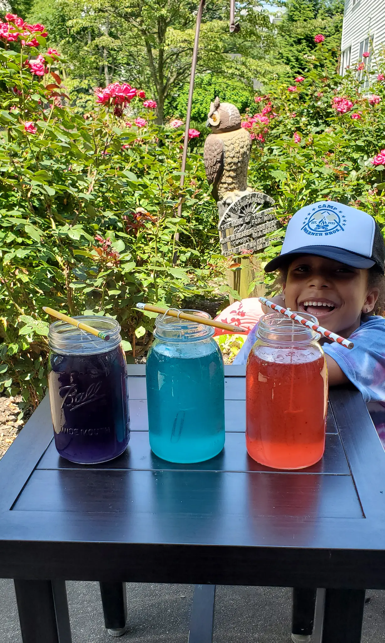 Crystal Gem Candy Jars Esuun. Grow your very own Crystal Gem Candy at home! Inspired by Stephen Universe Crystal Gem's a sugary treat that doubles as a science experiment, you can create and watch your very own candy gems grow day by day.