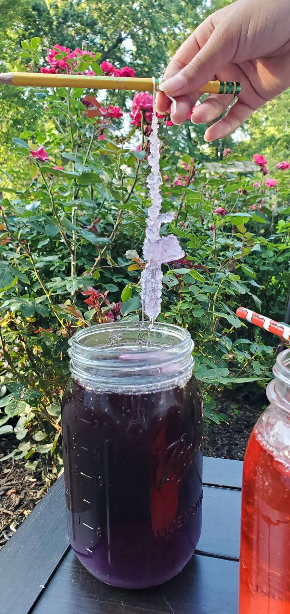 Crystal Gem Candy Purple. Grow your very own Crystal Gem Candy at home! Inspired by Stephen Universe Crystal Gem's a sugary treat that doubles as a science experiment, you can create and watch your very own candy gems grow day by day.