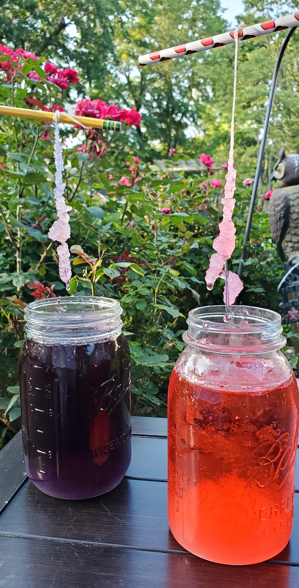 Crystal Gem Candy Purple and Red. Grow your very own Crystal Gem Candy at home! Inspired by Stephen Universe Crystal Gem's a sugary treat that doubles as a science experiment, you can create and watch your very own candy gems grow day by day.