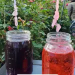 Crystal Gem Candy. Grow your very own Crystal Gem Candy at home! Inspired by Stephen Universe Crystal Gem's are a sugary treat that doubles as a science experiment, you can create and watch your very own candy gems grow day by day.
