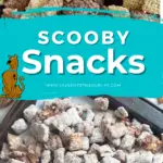 If you love solving a good old mystery with your favorite gang of meddling kids, then you will love this Scooby Snacks Recipe.