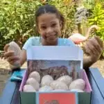 PAW Patrol Dino Rescue Unboxing Dinosaur Eggs Box. Get ready for&nbsp;roars and rescues with&nbsp;the&nbsp;PAW Patrol&nbsp;in&nbsp;the brand-new&nbsp;DVD&nbsp;PAW Patrol: Dino Rescue. We received a special package in honor of this awesome DVD release. Inside we found some awesome surprises that we can't wait to share with you.
